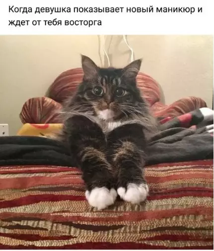 Смешная картинка №275455