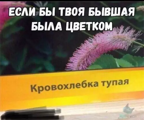 Смешная картинка №321285
