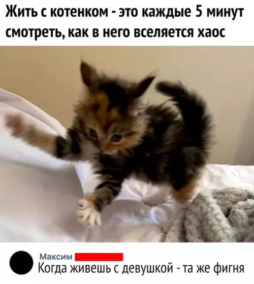 Смешная картинка №500708 Такие дела