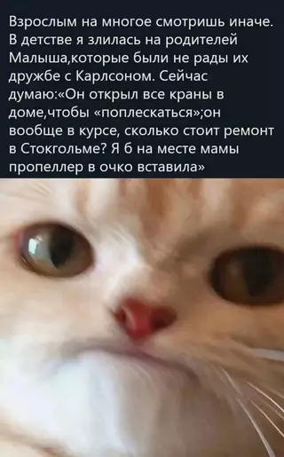 Смешная картинка №662896 Карлсон