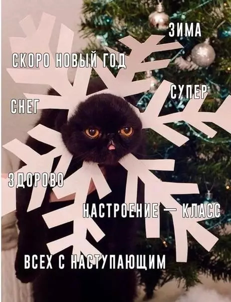 Смешная картинка №432857 Настроение: Предновогоднее