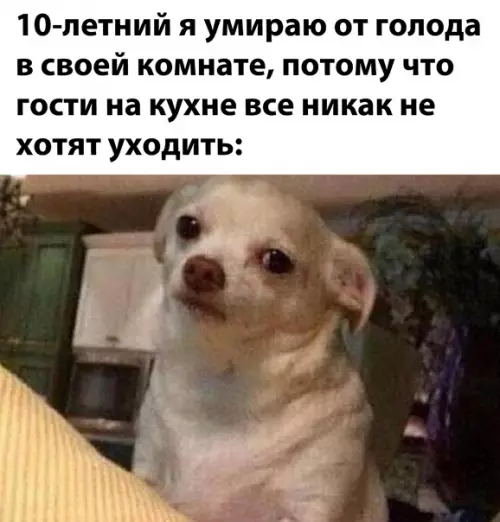 Смешная картинка №545716