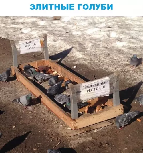 Смешная картинка №289760