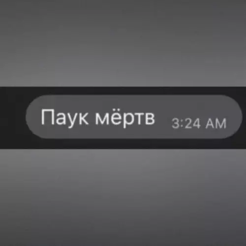 продолжение Смешная картинка №610872 Просто умница!