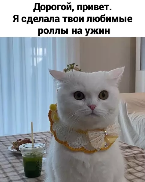 Смешная картинка №574634