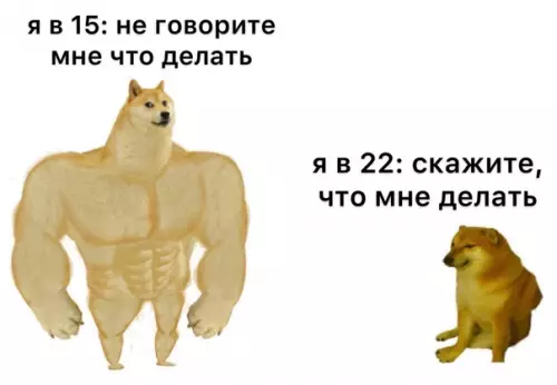 Смешная картинка №611548 И побыстрее