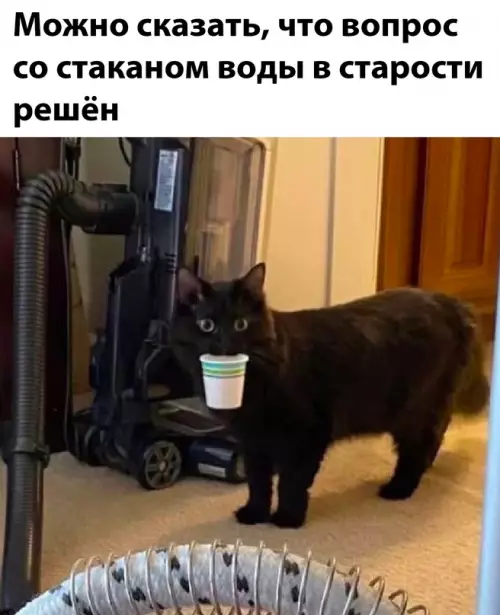 Смешная картинка №672436