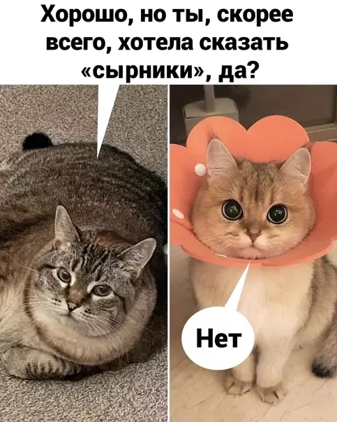 продолжение Смешная картинка №571056 Жиpники тaк жиpники