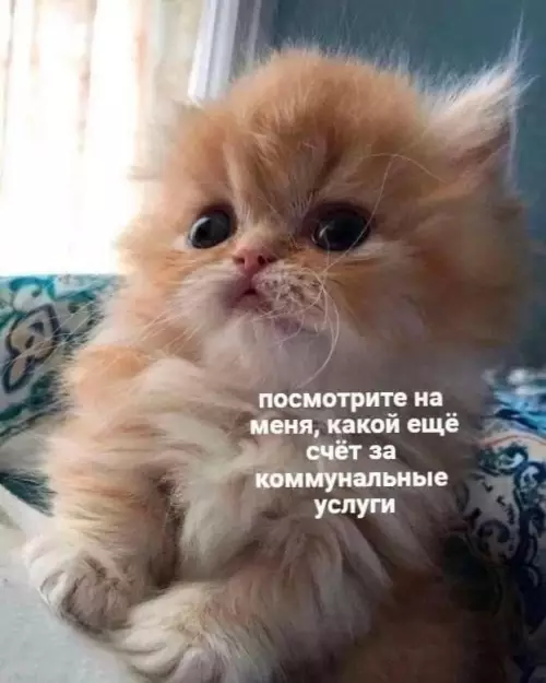 Смешная картинка №773348
