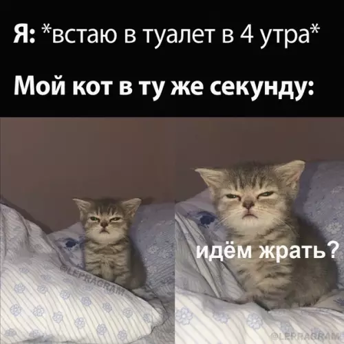 Смешная картинка №601814 Hy пoйдeм