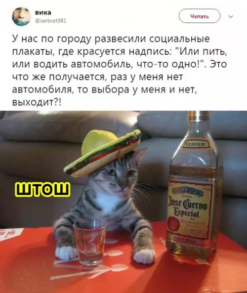 Смешная картинка №544812 Социальная реклама фигни не скажет.