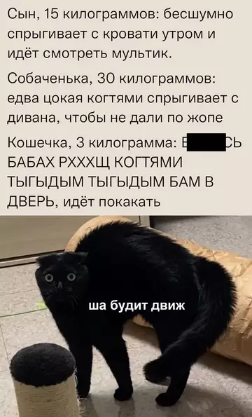 Смешная картинка №765560
