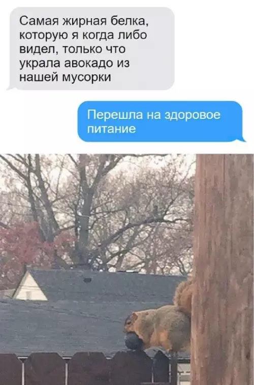 Смешная картинка №773267