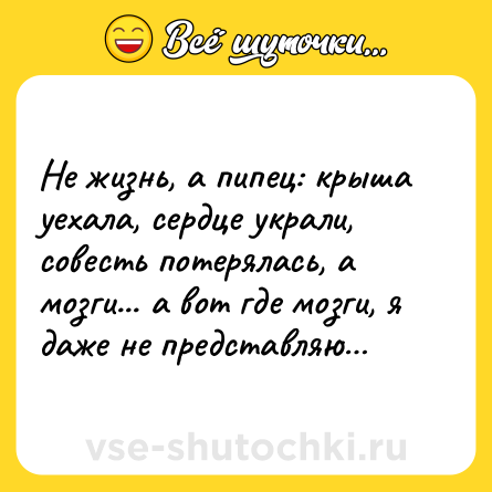 Шутка: Не жизнь, а пипец: крыша уехала, сердце украли, совесть потерялась, а мозги... а вот где мозги, я даже не представляю…