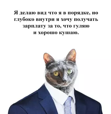 Смешная картинка №764095