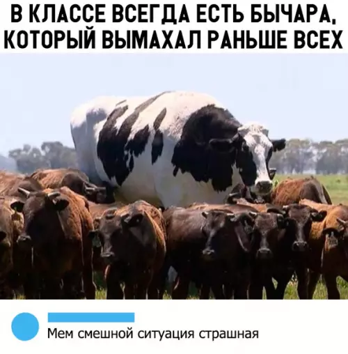 Смешная картинка №318362