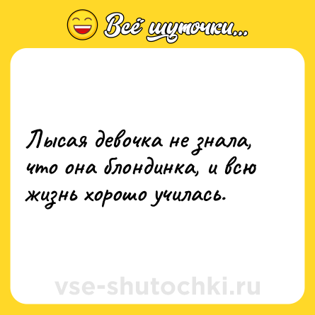 Шутка: Лысая девочка не знала, что она блондинка, и всю жизнь хорошо училась.