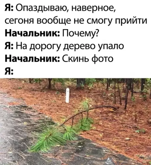 Смешная картинка №504561