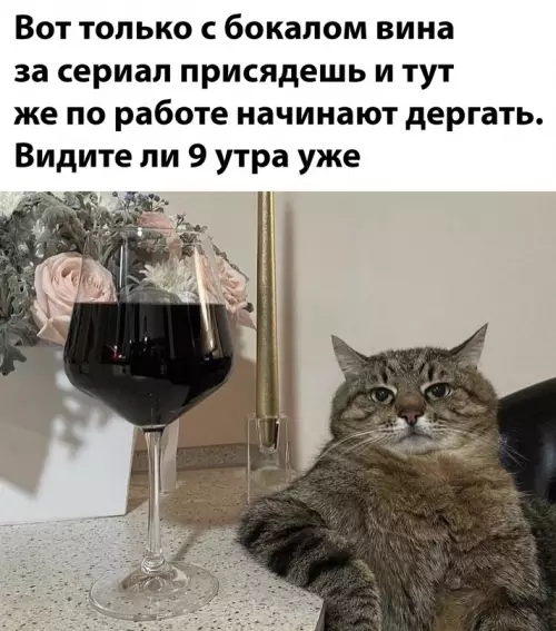 Смешная картинка №646081