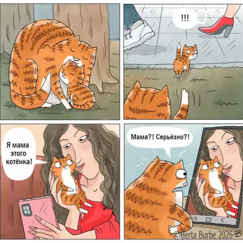 Мам, ты чё, реально?! 🙀 - Я мама этого котёнка! Мама?! Серьёзно?!