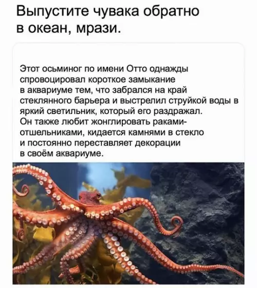 Смешная картинка №274338