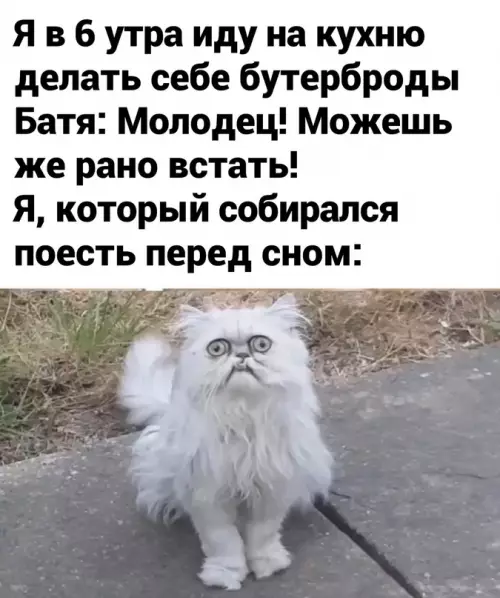 Смешная картинка №627388 Жaвopoнoк