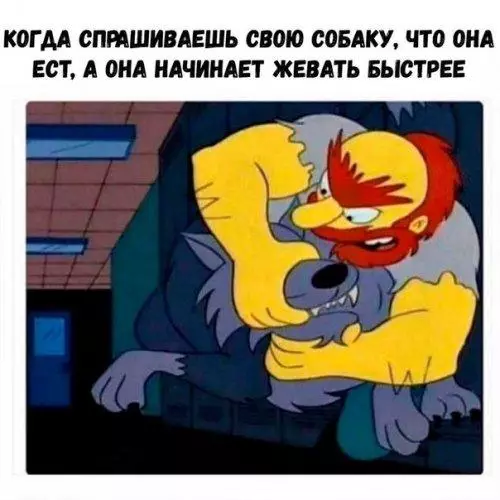 Смешная картинка №206227