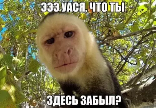Смешная картинка №189570