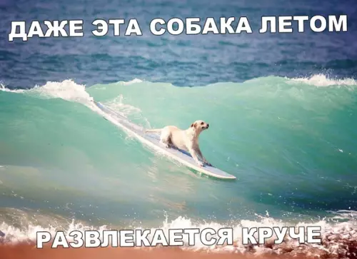Смешная картинка №366384