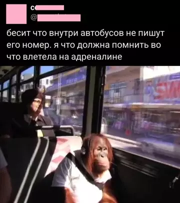 Смешная картинка №765716