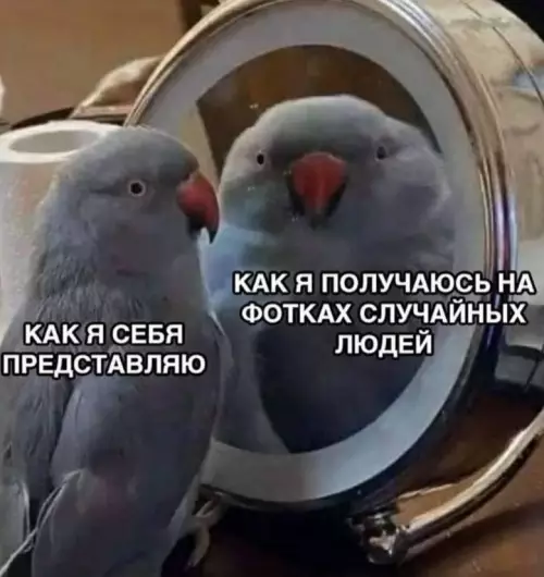 Смешная картинка №785037