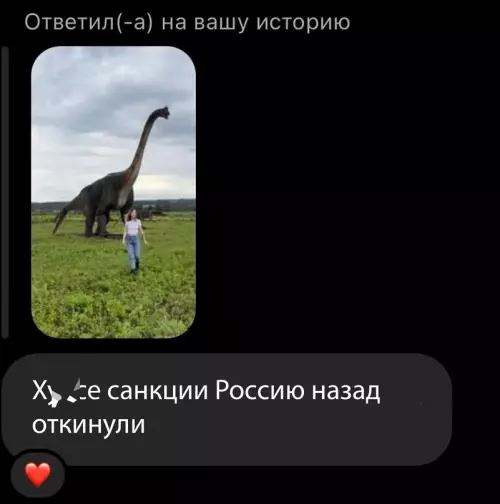 Смешная картинка №691636 россия