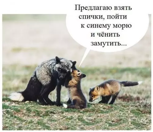 Смешная картинка №302475
