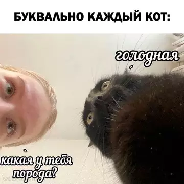 Смешная картинка №733379 Породистая