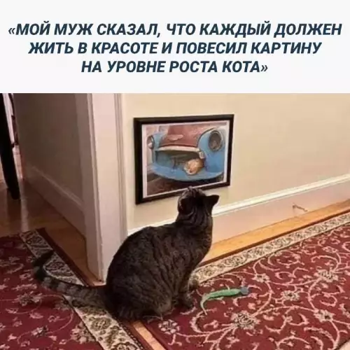 Смешная картинка №688070