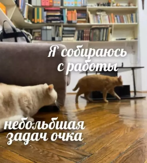 Когда дома ждёт настоящий хаос 😂 - Я собираюсь с работы небольбшая задач очка