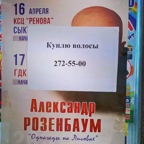 Бизнес-план года: заработок на лысине 👨‍🦲💰 - Куплю волосы 272-55-00