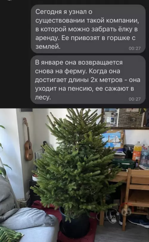 Смешная картинка №629794 Это гениально! Лучше, чем убивать дерево ради одной ночи в году
