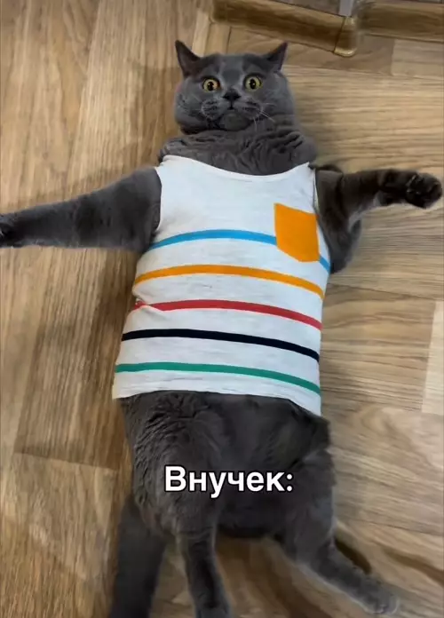 продолжение Смешная картинка №792323