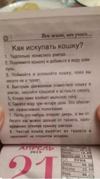 Смешная картинка №467339 Век живи - век учись!