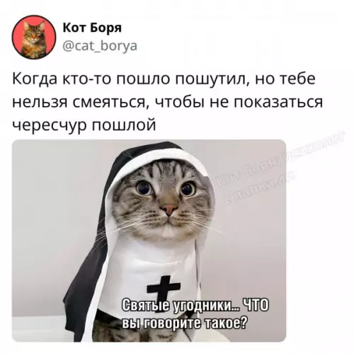 Смешной кот в рясе