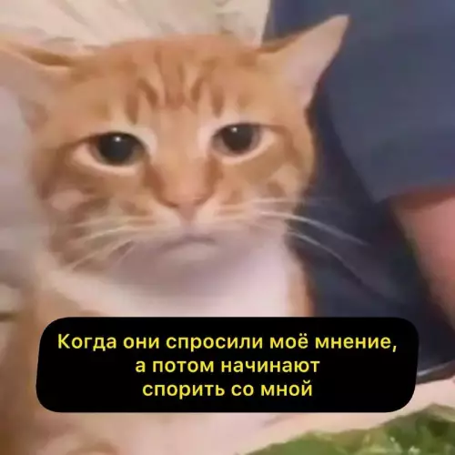 Смешная картинка №821610