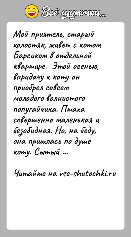 История: Мой приятель, старый холостяк, живет с котом Барсиком в отдельной квартире. Этой осенью, впридачу к коту он приобрел совсем