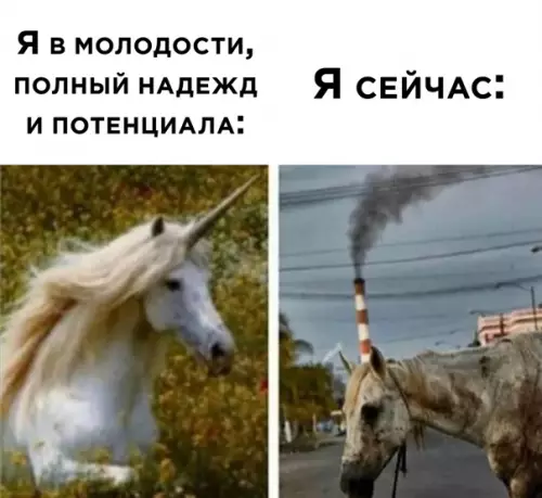 Смешная картинка №549684