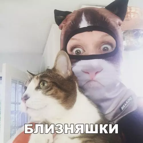 Смешная картинка №224541
