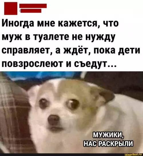 Смешная картинка №662311