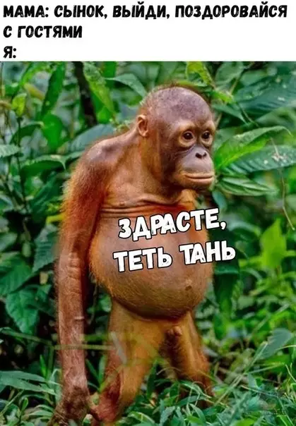 Смешная картинка №311381