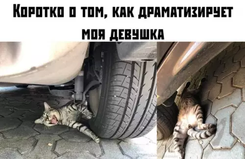Смешная картинка №387672