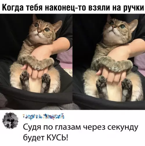 Смешная картинка №380069