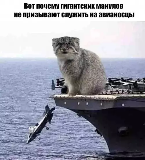 Смешная картинка №788270